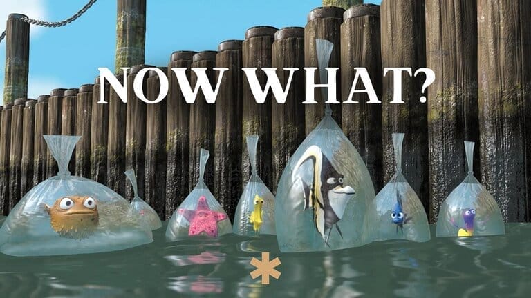 Animated fish in bags with Now What? text.