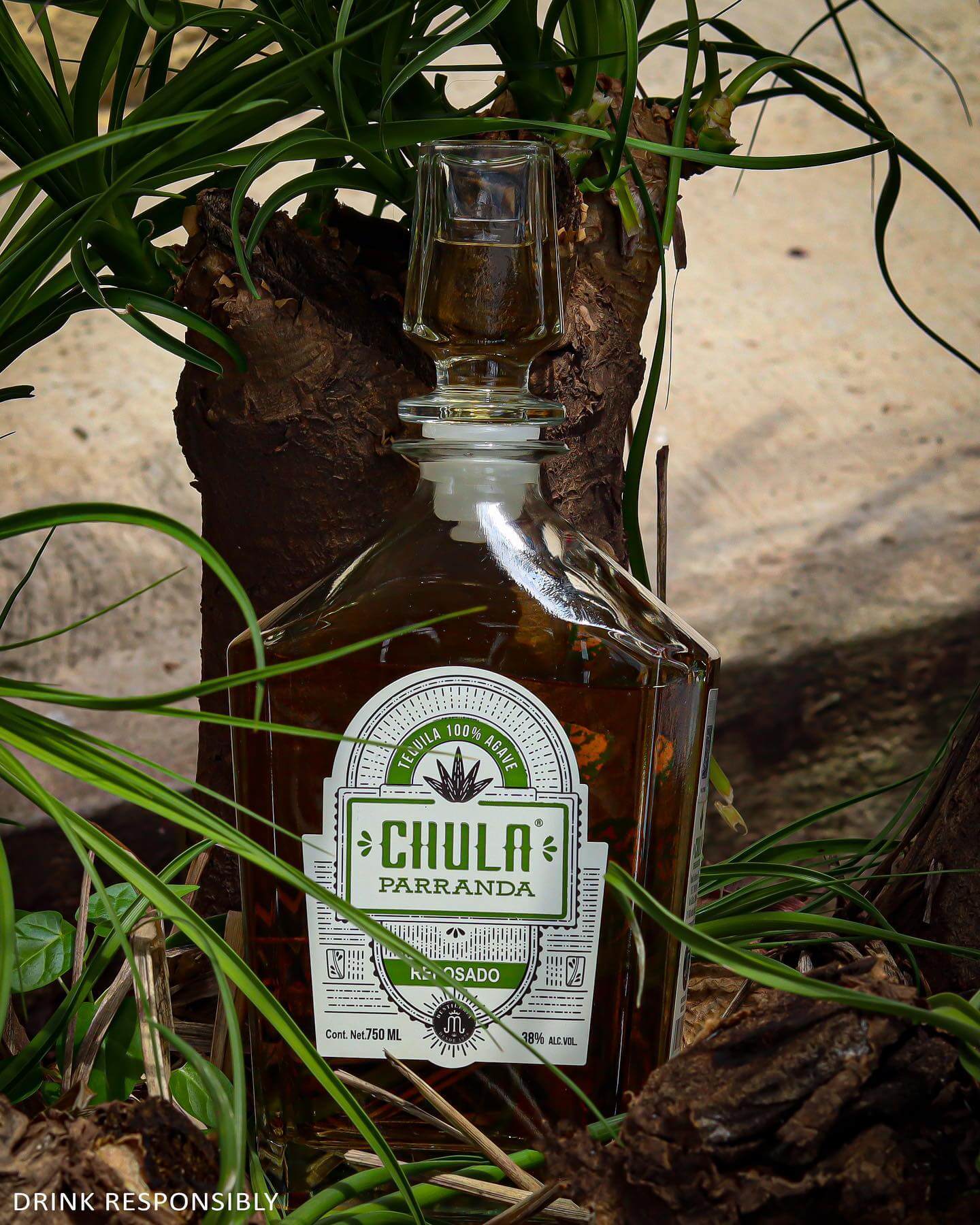 Chula Parranda Reposado tequila bottle among plants