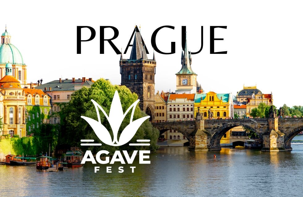 Prague Agave Fest by Charles Bridge
